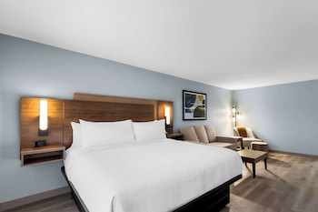 Executive Room, 1 King Bed, Non Smoking, Refrigerator & Microwave (Larger Room;with Sofabed)