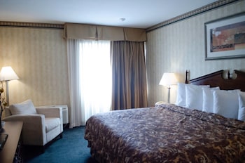 Standard Room, 1 King Bed, Non Smoking