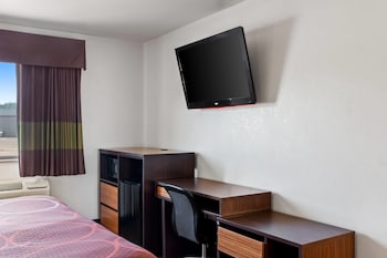 Studio Suite, Multiple Beds, Non Smoking