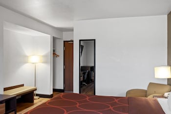 Studio Suite, Multiple Beds, Non Smoking
