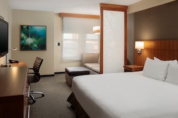 Accessible Suite, 1 King Bed (Roll-In Shower)