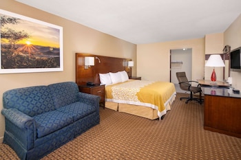 Room, 1 King Bed, Accessible