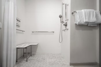 Standard Room, 1 King Bed, Accessible (Mobility, Roll-In Shower)