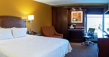 Room, 1 King Bed, Accessible, Non Smoking