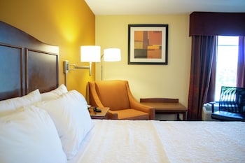 Room, 1 King Bed