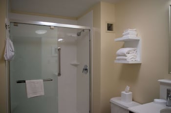 Room, 1 King Bed
