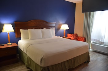 Standard Room, 1 King Bed, Accessible