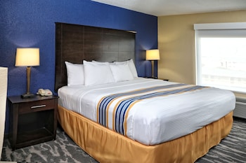 Standard Room, 1 King Bed, Accessible