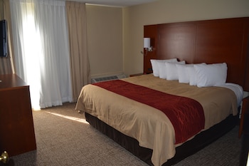 Studio Suite, 1 King Bed, Non Smoking