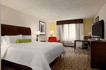 Room, 1 King Bed with Sofa bed