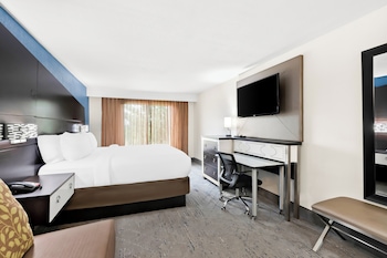 Standard Room, 1 King Bed with Sofa bed