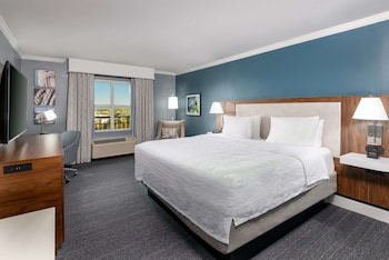 Room, 1 King Bed, Accessible, Non Smoking (Roll In Shower)