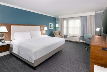 Room, 1 King Bed, Accessible, Non Smoking (Roll In Shower)
