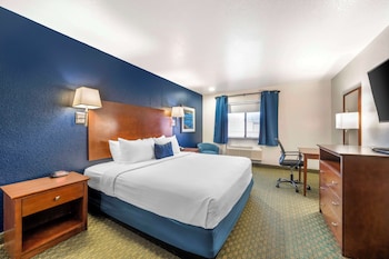Standard Room, 1 King Bed, Accessible, Non Smoking
