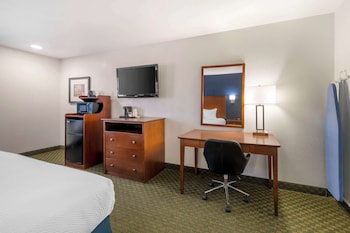 Standard Room, 1 King Bed, Accessible, Non Smoking