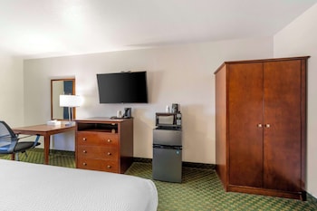Standard Room, 1 King Bed, Accessible, Non Smoking