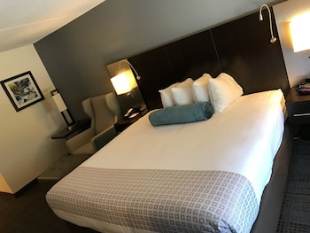 Standard Room, 1 King Bed, Accessible, Non Smoking