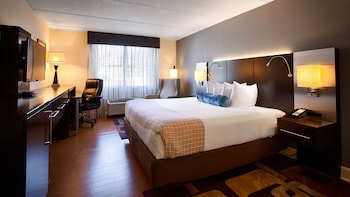 Standard Room, 1 King Bed, Non Smoking, Refrigerator