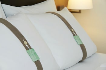 Superior Room, 1 Queen Bed with Sofa bed