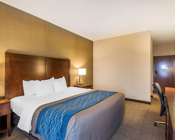Standard Room, 1 King Bed, Non Smoking