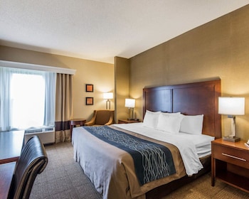 Standard Room, 1 King Bed, Non Smoking