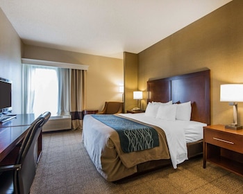 Standard Room, 1 King Bed, Non Smoking