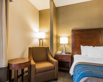Standard Room, 1 King Bed, Non Smoking