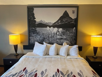 Deluxe Room, 1 King Bed, Accessible, Non Smoking (Roll-in Shower)