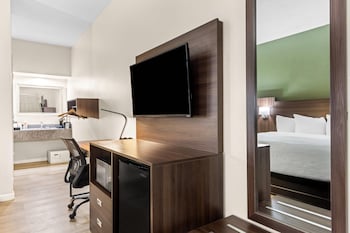 Room, 1 King Bed, Accessible, Non Smoking