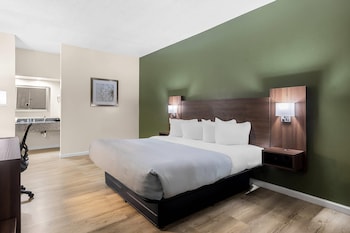 Standard Room, 1 King Bed, Non Smoking