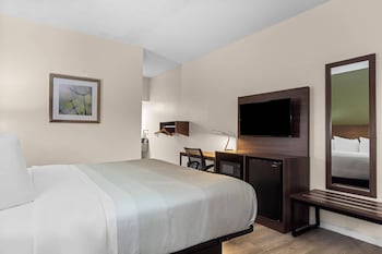Room, 1 King Bed, Accessible, Non Smoking