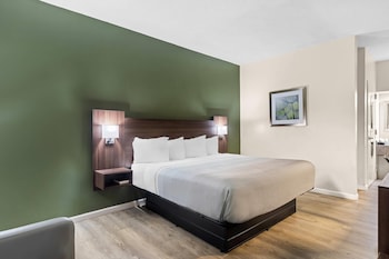 Room, 1 King Bed, Accessible, Non Smoking