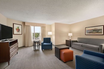 Suite, 1 King Bed, Non Smoking (Extra Large)