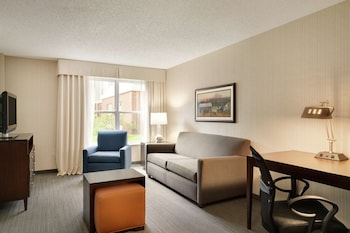 Suite, 1 King Bed, Accessible, Pool View (Bathtub)