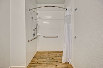 Room, 1 King Bed, Accessible, Shower
