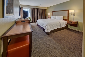 Room, 1 King Bed with Sofa bed