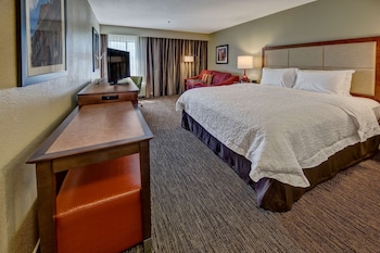 Room, 1 King Bed with Sofa bed