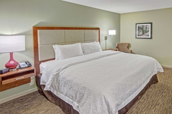 Room, 1 King Bed, Accessible, Bathtub