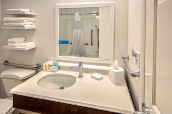 Room, 1 King Bed, Accessible, Bathtub