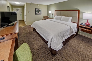 Room, 1 King Bed with Sofa bed
