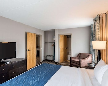 Suite, 1 King Bed with Sofa bed, Non Smoking