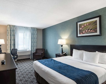 Room, 1 King Bed, Accessible, Non Smoking