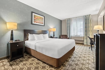 Room, 1 King Bed, Accessible, Non Smoking