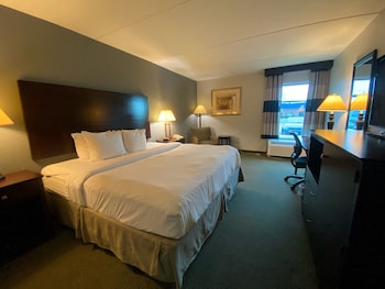 Room, 1 King Bed, Non Smoking