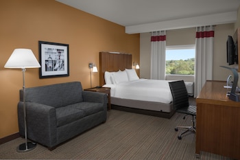 Room, 1 King Bed with Sofa bed