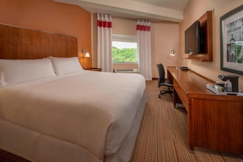 Classic Room, 1 King Bed with Sofa bed, Roll-in Shower (Mobility Accessible, Roll-In Shower)