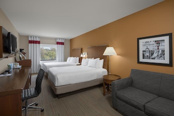 Classic Room, Multiple Beds, Roll-in Shower (Mobility/Hearing Access, Roll-In Shwr)