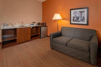 Junior Studio Suite, 1 King Bed with Sofa bed, Hearing Accessible (Hearing Accessible, Dry Bar)
