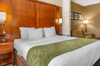 Suite, 1 King Bed, Non Smoking