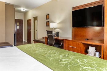 Suite, 1 King Bed with Sofa bed, Accessible, Non Smoking